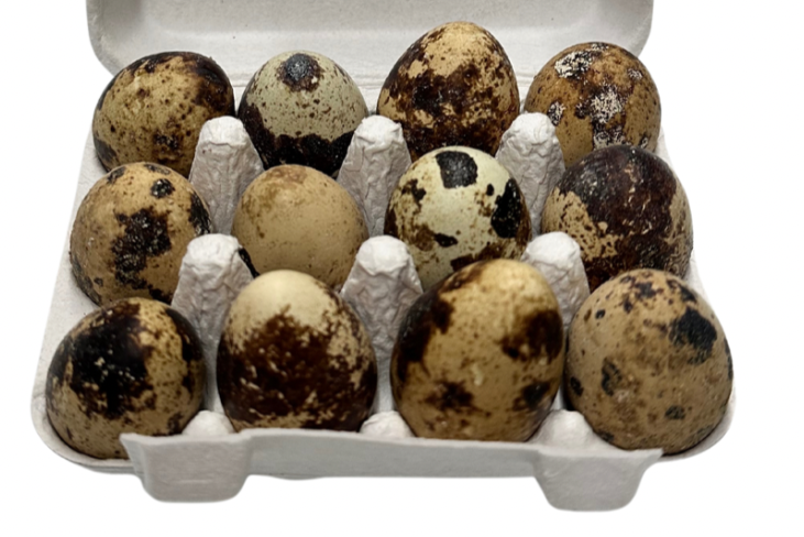 Local Quail Eggs 12 Eggs Juneau Natural