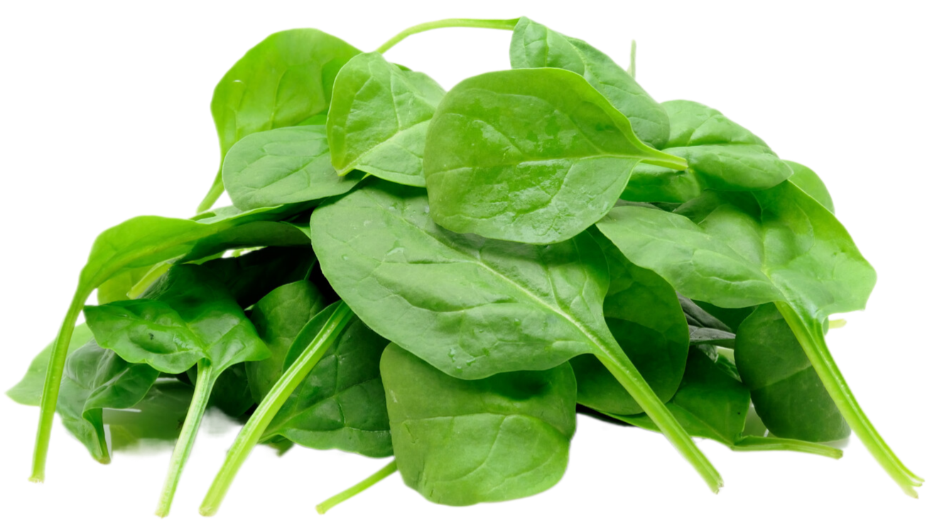 Organic Baby Spinach 5 OZ Juneau Natural