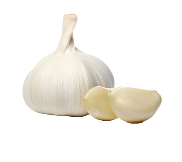 Organic Garlic - BULB