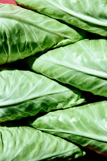 Row 7 organic Sugarcone cabbage