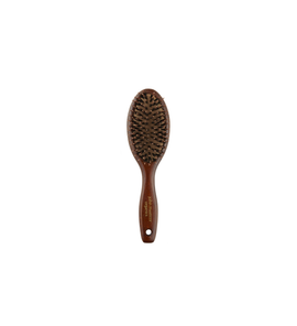 Combo Paddle Brush Mini