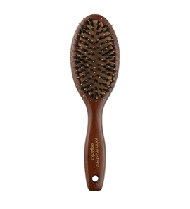 Combo Paddle Brush