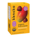 Passionista Organic Natural Fruit Snacks (5-pack)-2