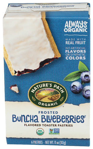 Organic Frosted Blueberry Toaster Pastries - 11 OZ