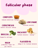 Follicular Phase Gummies - 0.9 OZ-2