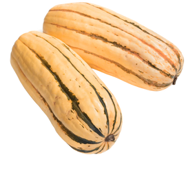 Organic Honeyboat Delicata Squash - EACH