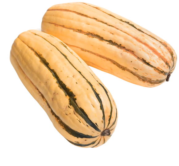 Organic Honeyboat Delicata Squash - EACH