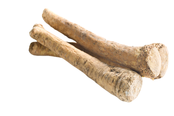 Organic Horseradish - PER LB