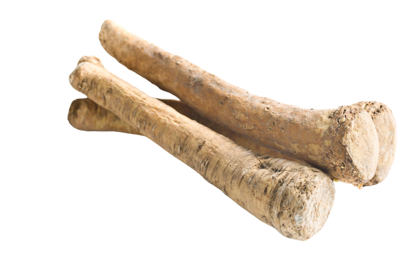Organic Horseradish - PER LB