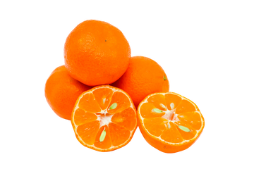 Organic Lee Nova Mandarins - PINT