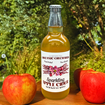 Organic Sparkling Apple Cider - 500 ML