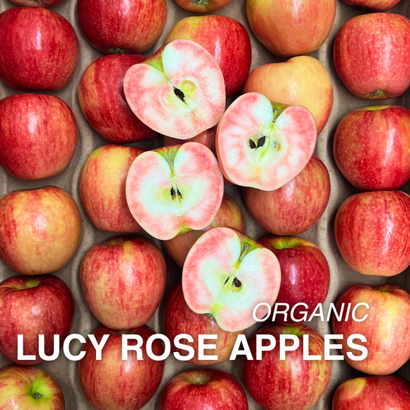 Organic Lucy Rose Apple - EACH