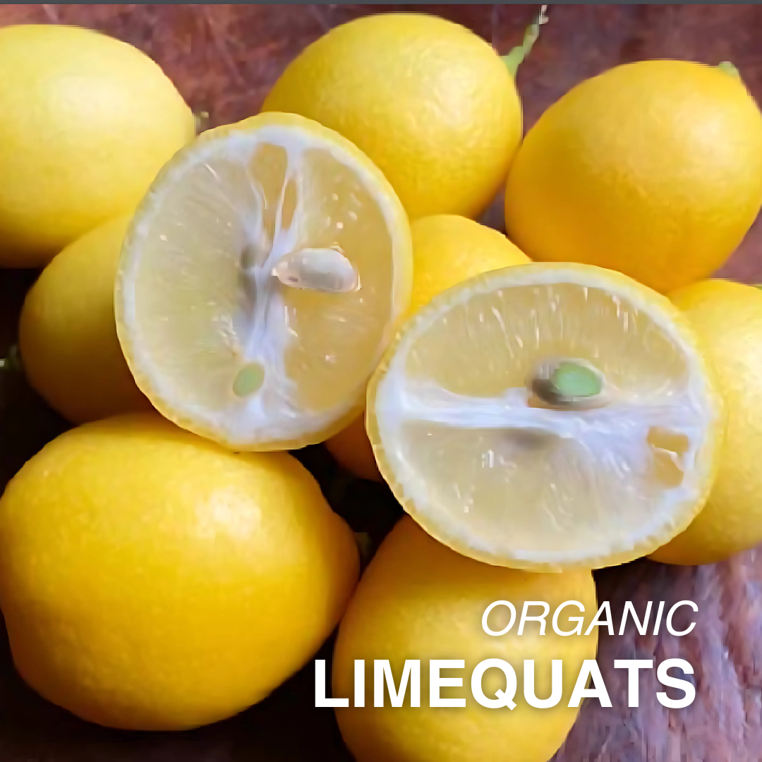 Organic Limequats - PER LB