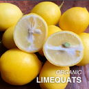 Organic Limequats - 1/2 PINT-2
