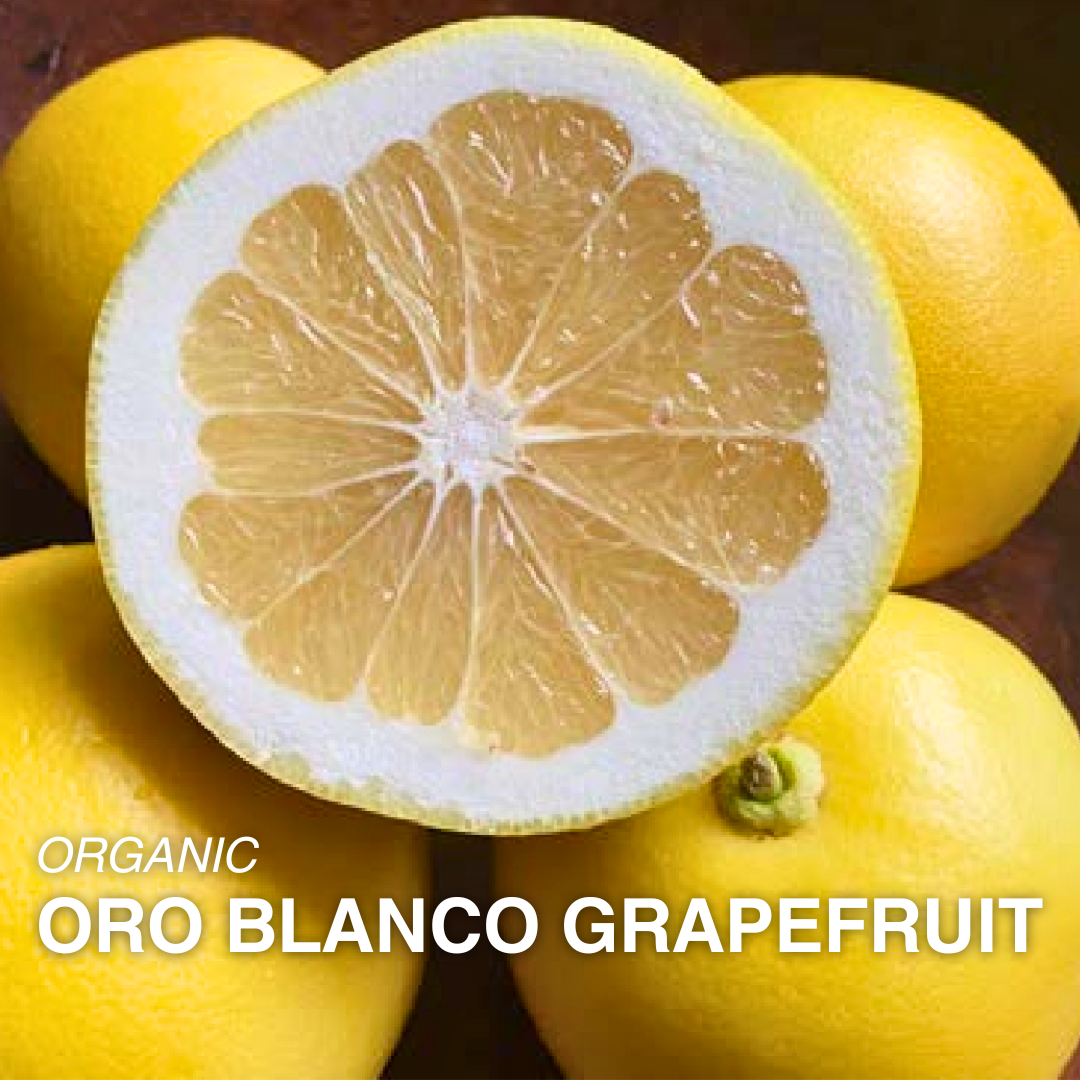 Organic Oro Blanco Grapefruit - EACH