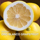 Organic Oro Blanco Grapefruit - EACH-2
