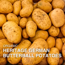 Organic Heritage German Butterball Potatoes - PER LB-1