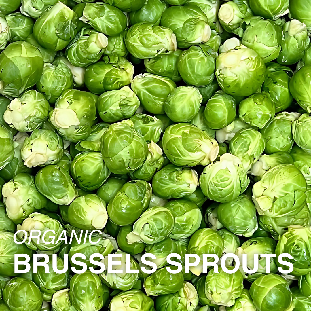 Organic Brussels Sprouts - PER LB