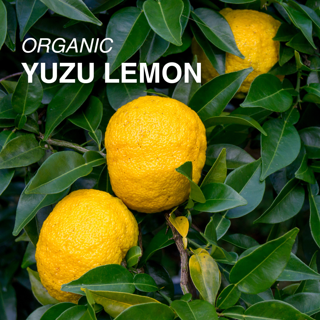 Organic Yuzu Lemon - EACH