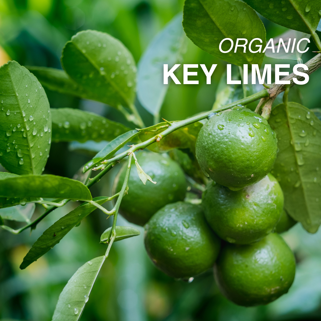 Organic Key Lime - PER LB