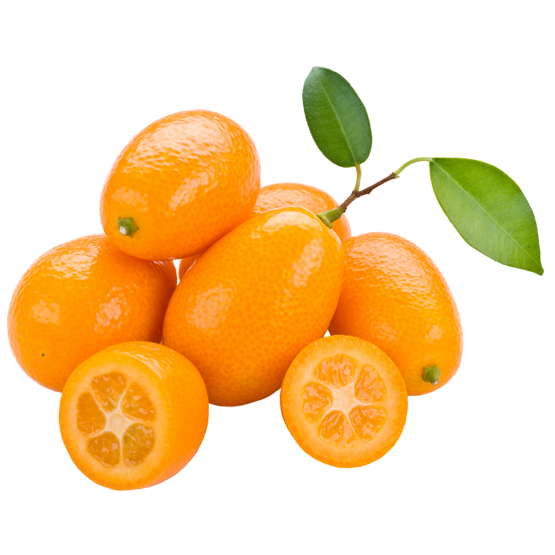 Organic Nagami Kumquats - 1/2 PINT