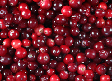 Organic Cranberries - PINT