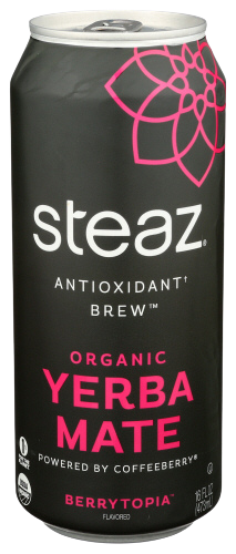 Organic Yerba Mate Berrytopia Antioxidant - 16 FO