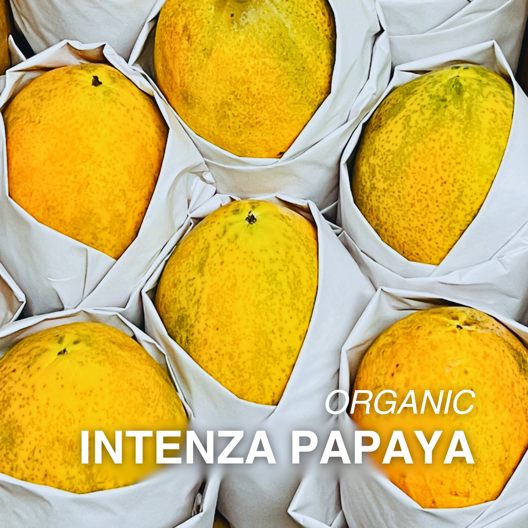 Organic Intenza Papaya - EACH