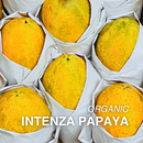 Organic Intenza Papaya - EACH-2