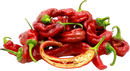 Organic Red Italian Long Sweet Peppers - EACH-2