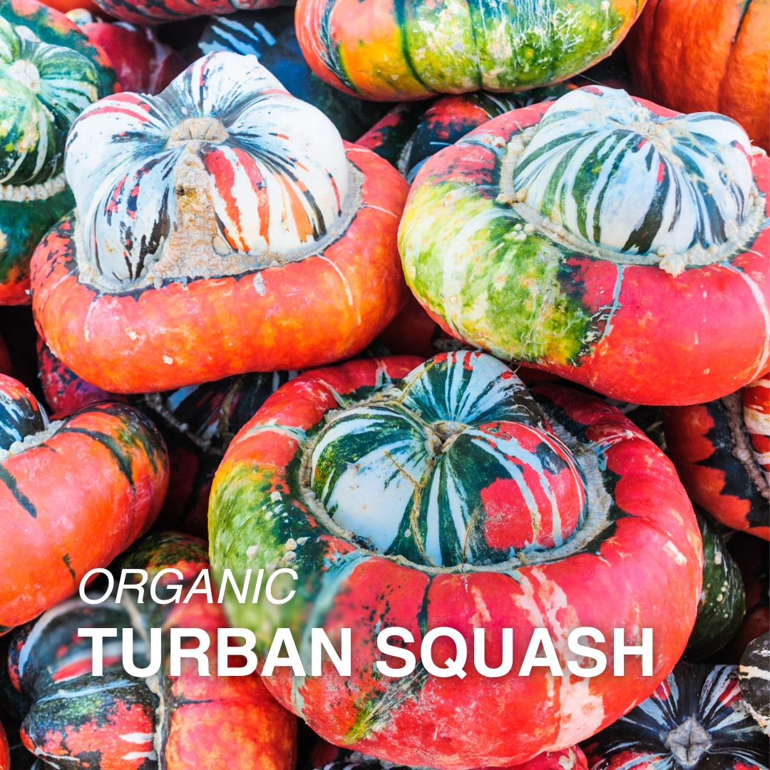 Organic Turban Squash - PER LB