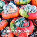 Organic Turban Squash - PER LB-1