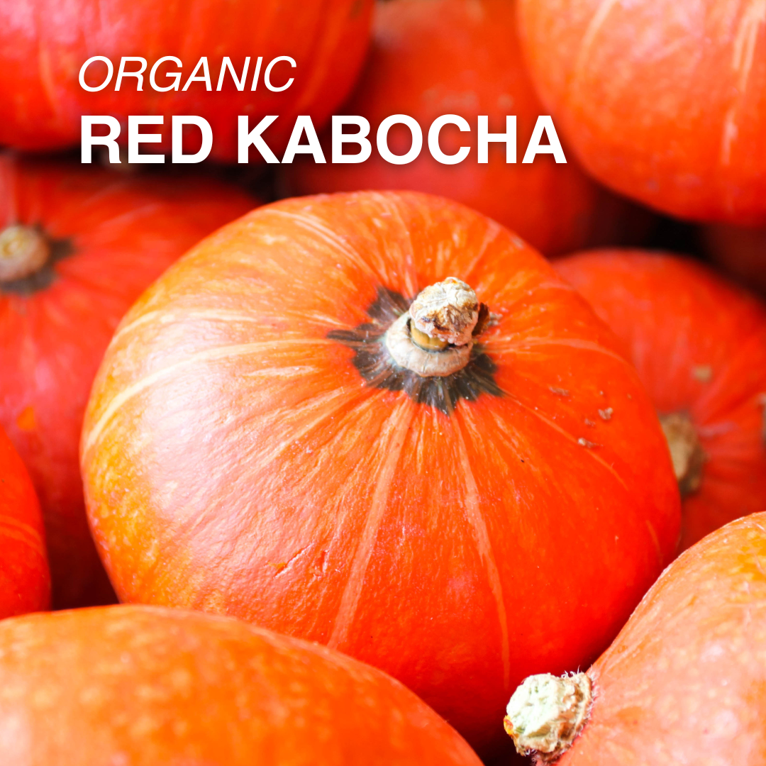 Organic Red Kabocha Squash - PER LB