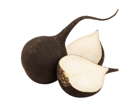 Organic Black Radishes - 1 LB