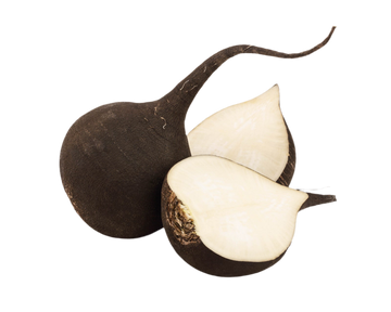 Organic Black Radishes - 1 LB