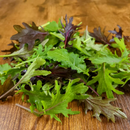 Organic Commonplace Farm Petite Kale - 5 OZ-1