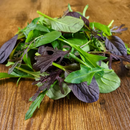 Organic Commonplace Farm Wellness Salad Mix - 5 OZ-1