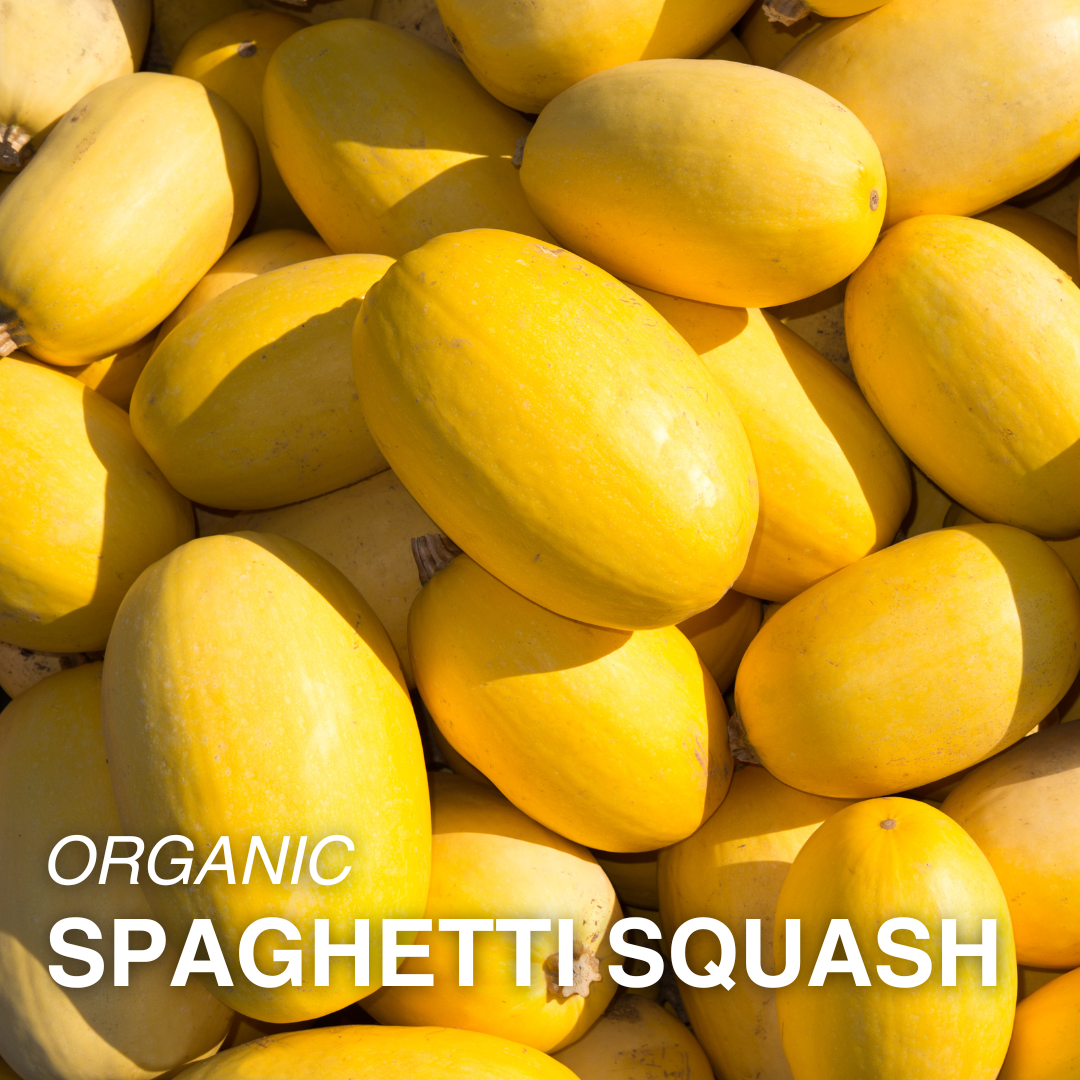 Organic Spaghetti Squash - EACH