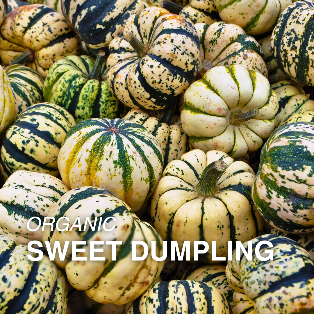 Organic Sweet Dumpling Squash - EACH