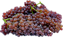 Organic Champagne Grapes - PINT-1