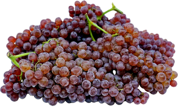 Organic Champagne Grapes - PINT
