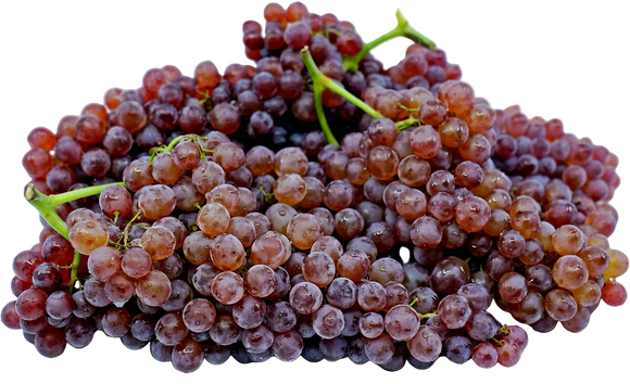 Organic Champagne Grapes - PINT