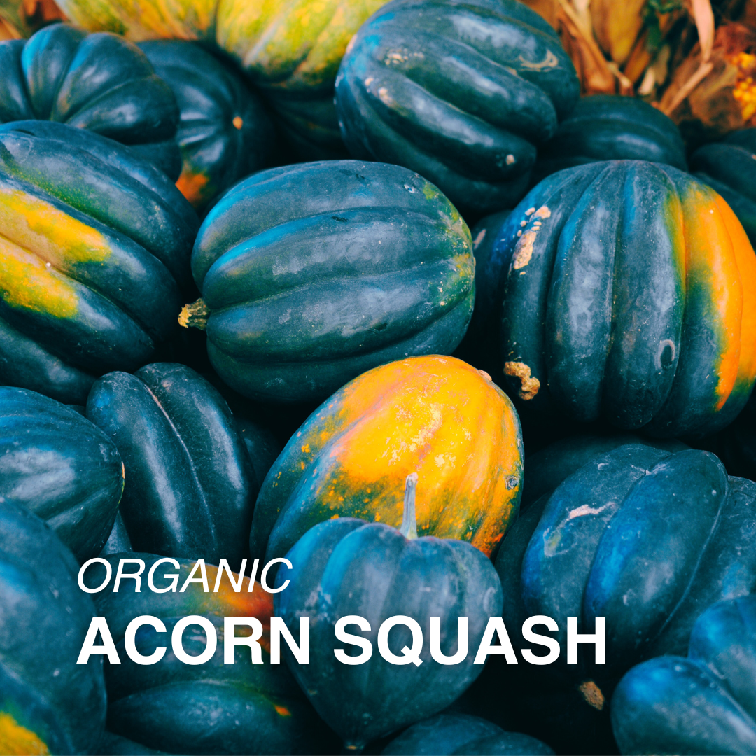 Organic Acorn Squash - EACH