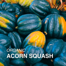 Organic Acorn Squash - PER LB-2