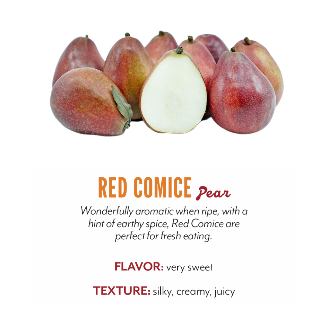 Organic Red Comic Pear - EACH