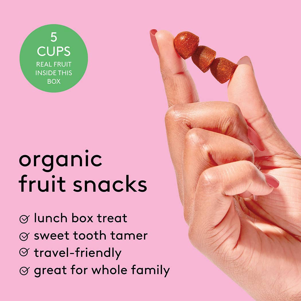 Passionista Organic Natural Fruit Snacks (5-pack)