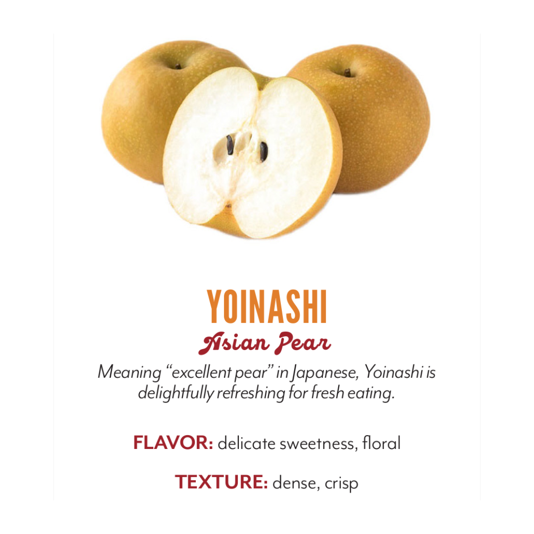 Organic Yoinashe Asian Pear - EACH