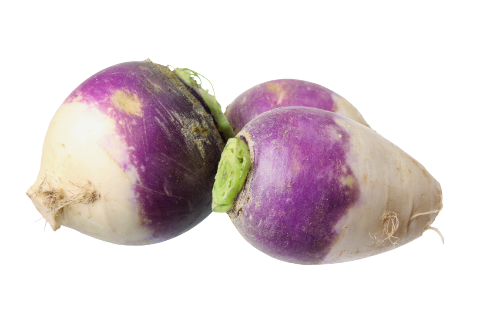 Organic Turnips - PER LB