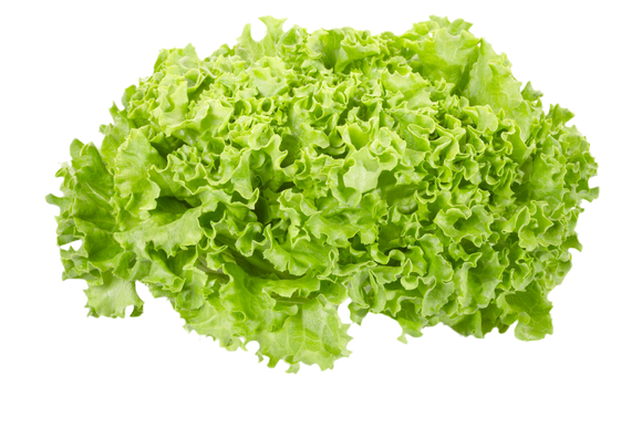 Organic Field Grown Green Leaf Lettuce - HEAD