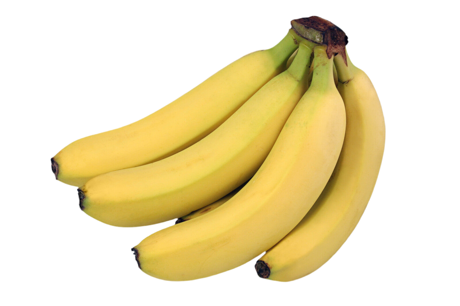 Organic Bananas - PER LB